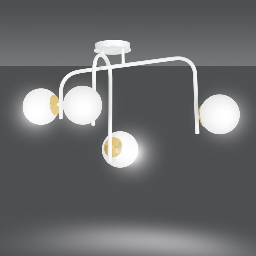 Emibig lampa Ragnar 4B White cena un informācija | Lustras | 220.lv