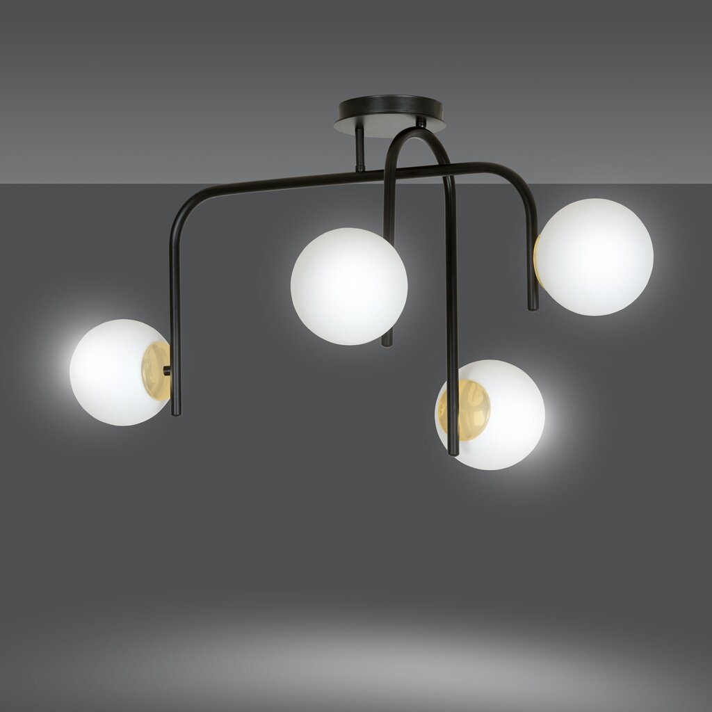 Emibig lampa Ragnar 4B Black cena un informācija | Lustras | 220.lv