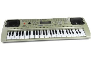 Lielas klavieres ar mikrofonu Keyboard MQ-807 USB cena un informācija | Attīstošās rotaļlietas | 220.lv