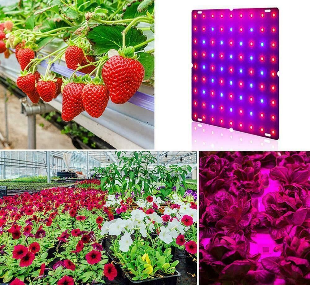 169 LED piekaramais panelis augu audzēšanai cena un informācija | Diedzēšanas trauki, augu lampas | 220.lv