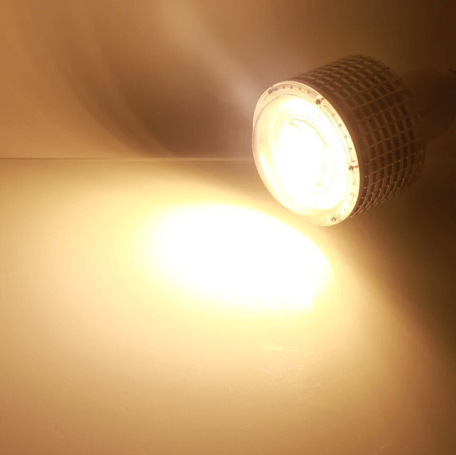 Pilna spektra lampa augiem, 100W cena un informācija | Spuldzes | 220.lv