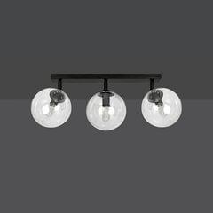 Emibig griestu lampa Tofi 3 BL/Transparent cena un informācija | Griestu lampas | 220.lv