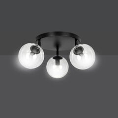 Emibig griestu lampa Tofi 3A BL/transparent Premium cena un informācija | Griestu lampas | 220.lv