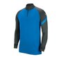 Vīriešu džemperis Nike Dry Academy Dril Top M BV6916-406, 52293 цена и информация | Vīriešu jakas | 220.lv
