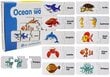 Izglītojoša puzle "Okeāna pasaule", angļu valodā, 10 kombinācijas cena un informācija | Galda spēles | 220.lv