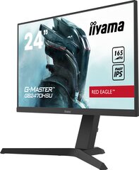 Монитор Iiyama G2470HSU-B1 цена и информация | Мониторы | 220.lv