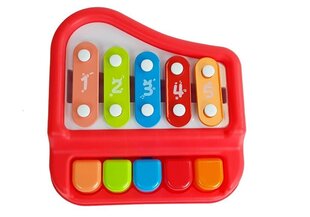 Музыкальный инструмент с нотами, красный цена и информация | Игрушки для малышей | 220.lv