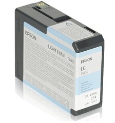 Epson ink cartridge photo cyan for Stylu цена и информация | Картриджи для лазерных принтеров | 220.lv