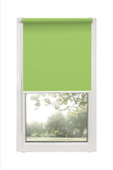 Ролет Mini Decor D 11 Зеленый, 62x150 см цена и информация | Рулонные шторы | 220.lv