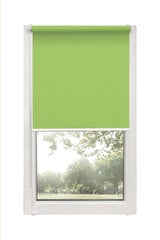 Ролет Mini Decor D 11 Зеленый, 100x150 см цена и информация | Рулонные шторы | 220.lv