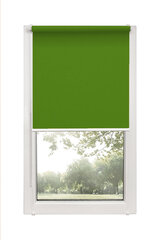 Ролет Mini Decor D 13 Зеленый, 35x150 см цена и информация | Рулонные шторы | 220.lv