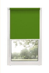 Rullo žalūzijas Mini Decor D 13 Zaļas, 53x150 cm cena un informācija | Rullo žalūzijas | 220.lv