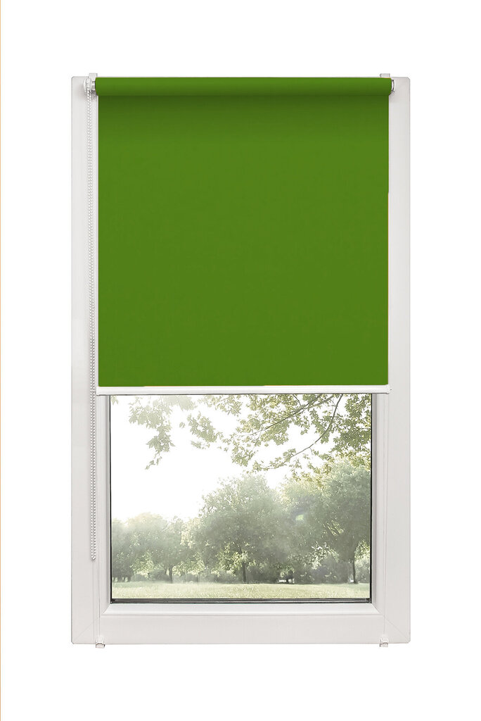 Rullo žalūzijas Mini Decor D 13 Zaļas, 68x150 cm cena un informācija | Rullo žalūzijas | 220.lv