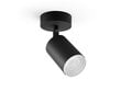 Philips Hue - Fugato Single spot Black - White & Color Ambiance цена и информация | Sienas lampas | 220.lv