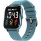Canyon smartwatch Wildberry CNS-SW74BL cena un informācija | Viedpulksteņi (smartwatch) | 220.lv