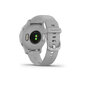 Garmin Venu® 2S Silver/Mist Grey cena un informācija | Viedpulksteņi (smartwatch) | 220.lv