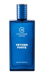 Collistar Vetiver Forte EDT для мужчин 100 мл цена и информация | Мужские духи | 220.lv