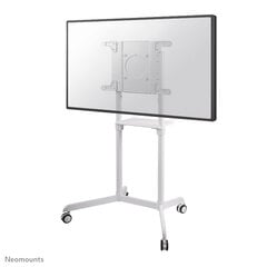 NewStar NS-M1250WHITE 37-70” цена и информация | Кронштейны и крепления для телевизоров | 220.lv