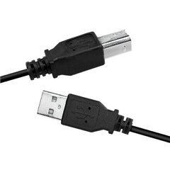 Logilink USB cable USB 2.0 A to B 2x mal cena un informācija | Kabeļi un vadi | 220.lv