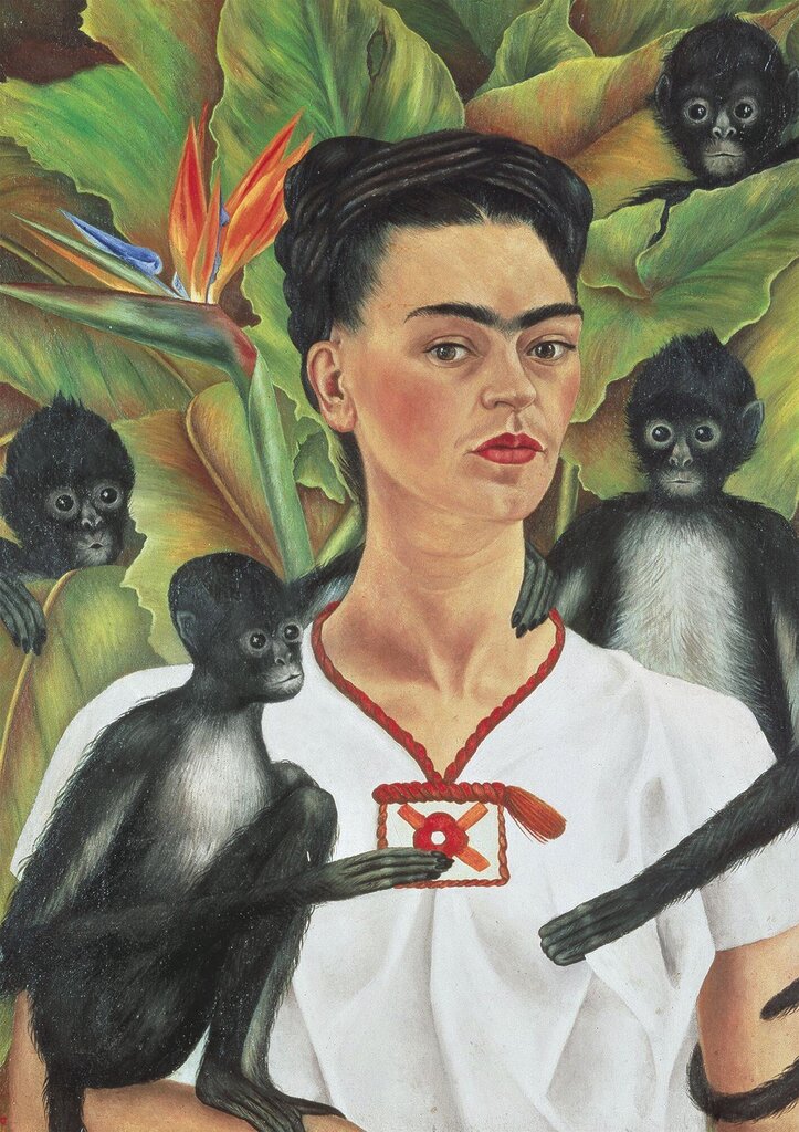 PIATNIK Puzle 1000 Frida Kahlo цена и информация | Puzles, 3D puzles | 220.lv