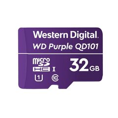 MEMORY MICRO SDXC 256GB UHS-I/WDD256G1P0C WDC цена и информация | Карты памяти для фотоаппаратов | 220.lv