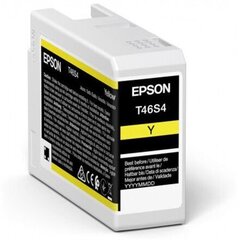 Epson UltraChrome Pro 10 ink T46S4 Ink c цена и информация | Картриджи для струйных принтеров | 220.lv