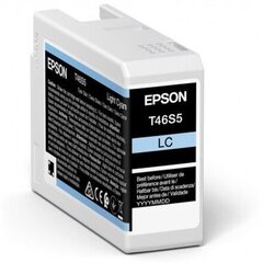 Epson UltraChrome Pro 10 ink T46S5 Ink c цена и информация | Картриджи для струйных принтеров | 220.lv