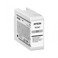 Epson UltraChrome Pro 10 ink T47A7 Ink c цена и информация | Картриджи для струйных принтеров | 220.lv