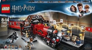 75955 LEGO® Harry Potter Cūkkārpas ekspresis cena un informācija | Konstruktori | 220.lv