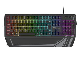 Genesis Rhod 350 RGB Gaming keyboard, RG цена и информация | Клавиатуры | 220.lv