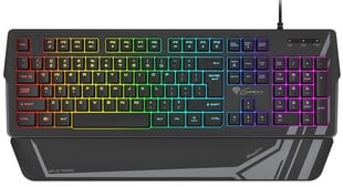 Genesis Rhod 350 RGB Gaming keyboard, RG цена и информация | Клавиатуры | 220.lv