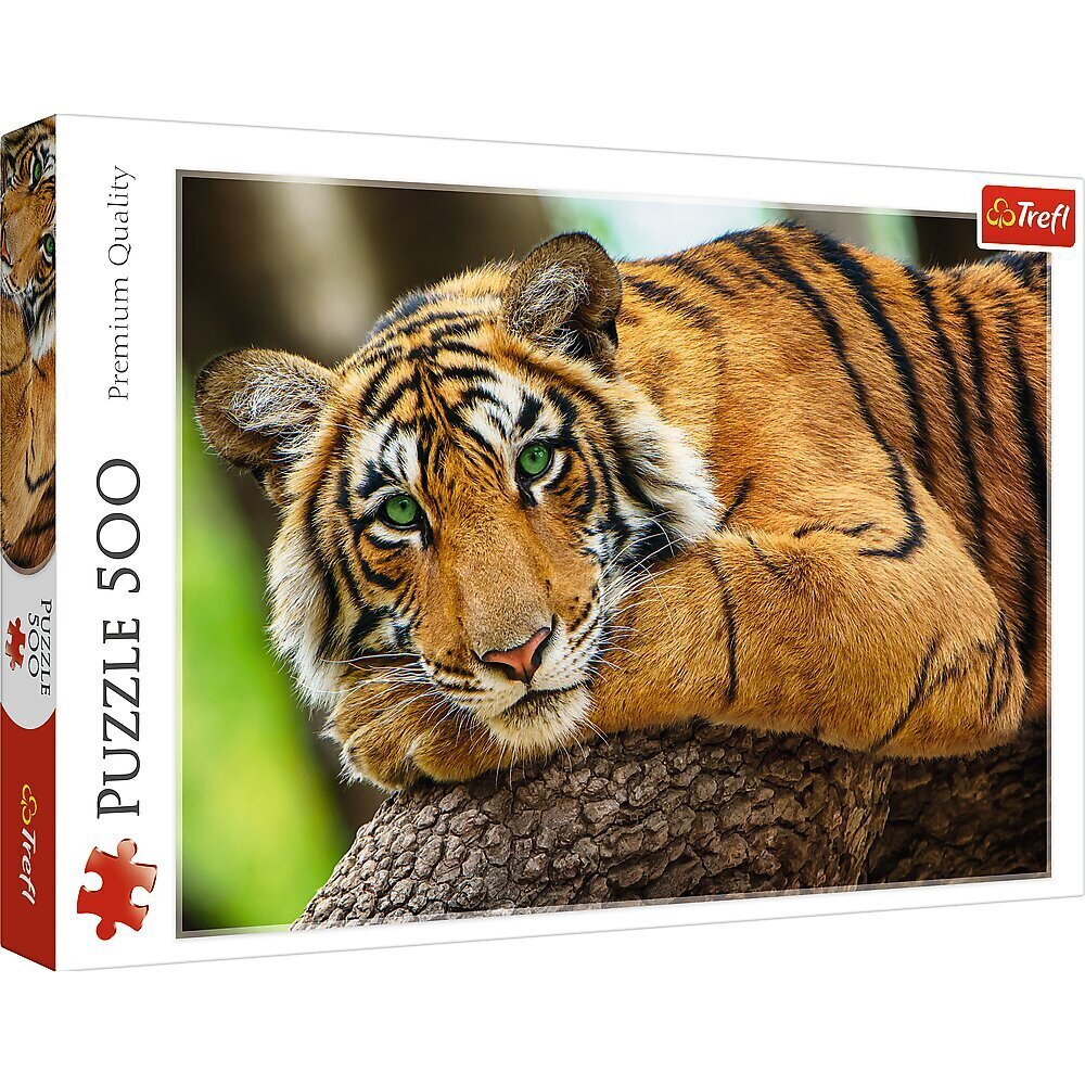 TREFL Puzle 500 Tiger cena un informācija | Puzles, 3D puzles | 220.lv