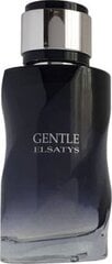 Reyane Tradition Gentle Elsatys EDP vīriešiem 100 ml cena un informācija | Vīriešu smaržas | 220.lv