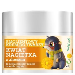 Farmona Herbal Care Kids sejas krēms 50 ml cena un informācija | Sejas krēmi | 220.lv