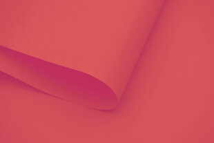 Sienas rullo žalūzijas ar audumu Dekor 130x170 cm, d-09 Sarkanas cena un informācija | Rullo žalūzijas | 220.lv
