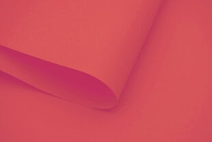 Sienas rullo žalūzijas ar audumu Dekor 180x170 cm, d-09 Sarkanas cena un informācija | Rullo žalūzijas | 220.lv