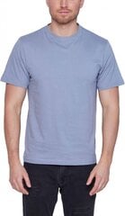 Glo Story T-Krekli Grey MPO D0102/S цена и информация | Мужские футболки | 220.lv