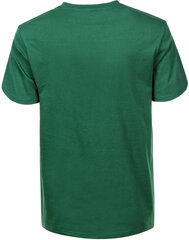 Glo Story T-Krekli Green MPO D0112/S цена и информация | Мужские футболки | 220.lv