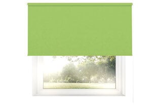 Настенный тканевый ролет Dekor 100x170 см, d-11 зеленый цена и информация | Рулонные шторы | 220.lv