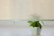 Sienas rullo žalūzijas ar audumu Dekor 190x170 cm, d-11 Zaļas cena un informācija | Rullo žalūzijas | 220.lv
