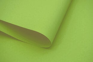 Настенная роллета с тканью Dekor 80x240 см, d-11 зеленый цена и информация | Рулонные шторы | 220.lv