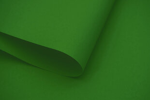 Sienas rullo žalūzija ar audumu Dekor 110x170 cm, d-13 Zaļas cena un informācija | Rullo žalūzijas | 220.lv