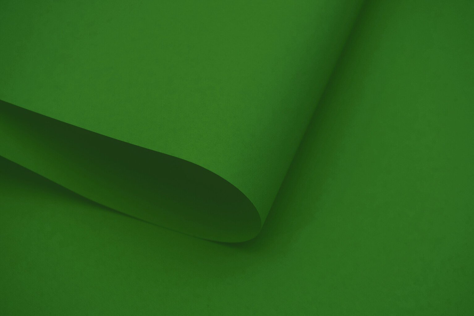 Sienas rullo žalūzijas ar audumu Dekor 140x170 cm, d-13 Zaļas цена и информация | Rullo žalūzijas | 220.lv