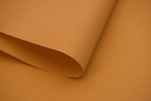 Настенный тканевый ролет Dekor 100x170 см, d-24 коричневый цена и информация | Рулонные шторы | 220.lv