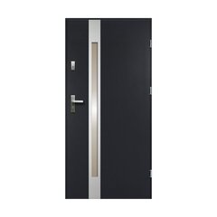 Двери наружные стальные Temidas 80, правые, темно-серые цена и информация | Уличные двери | 220.lv