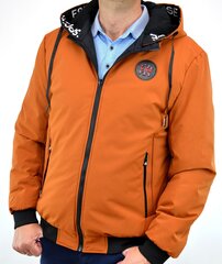 Мужская куртка Swest 2917, коричневая цена и информация | Мужские куртки | 220.lv