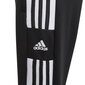 Adidas Bikses SQ21 Tr Pnt Y Black GK9553/164 цена и информация | Bikses zēniem | 220.lv