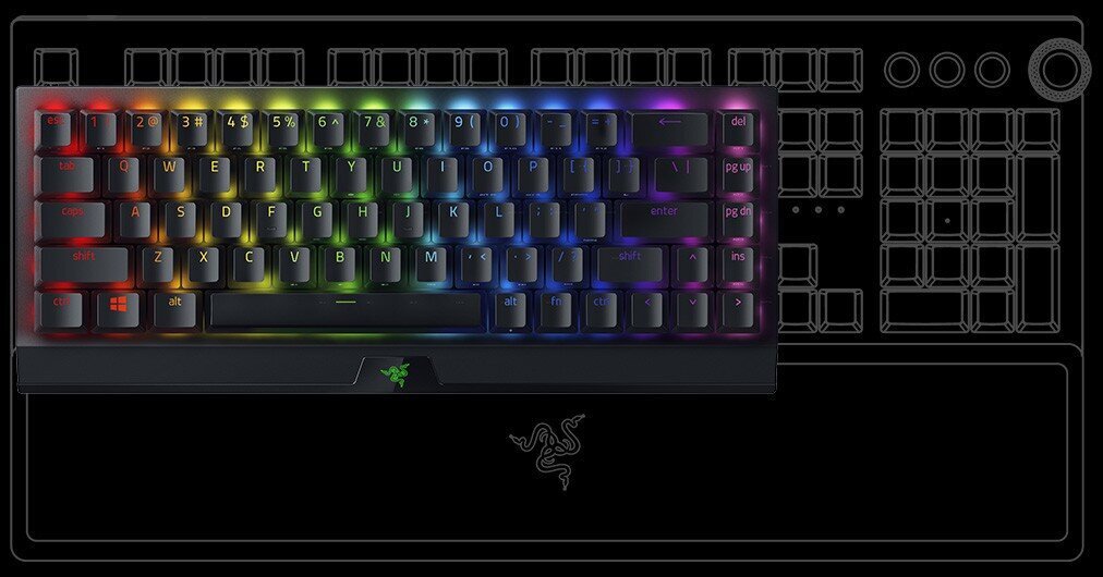 Razer RZ03-03890600-R3N1 cena un informācija | Klaviatūras | 220.lv