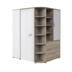 Шкаф Cariba, коричневый/белый цена и информация | Шкафы | 220.lv