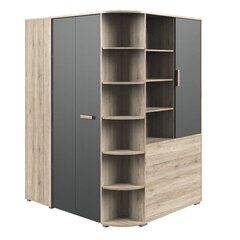 Шкаф Cariba, коричневый/серый цена и информация | Шкафы | 220.lv